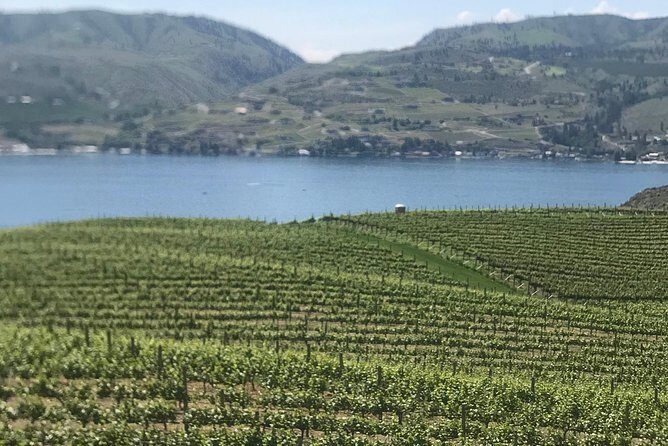 Whitewater and Wine: Wenatchee River Whitewater Rafting and Winery Tour - Final Thoughts: Who Will Love This Tour?