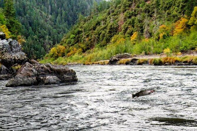 Whitewater Fishing and Rafting Experience in Rogue River - The Itinerary — What You Can Expect