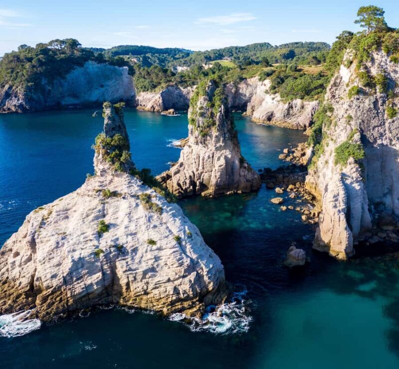 Whitianga: 2-Hour Cathedral Cove and Volcanic Coast Cruise - Final Thoughts