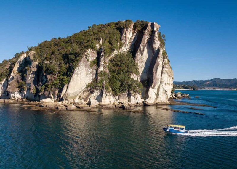 Whitianga: 2-Hour Glass Bottom Boat Cathedral Cove Tour - The Sum Up: Who Should Book This?