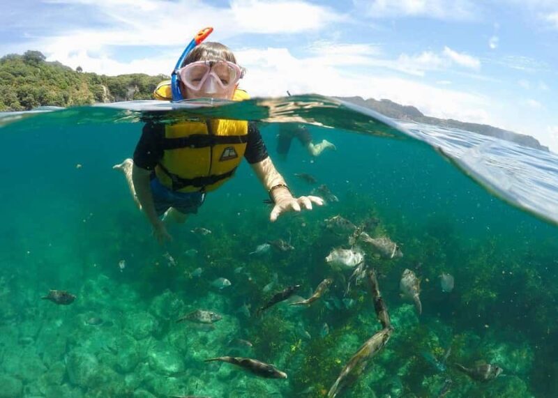 Whitianga: 2-Hour Glass Bottom Boat Cathedral Cove Tour - FAQ