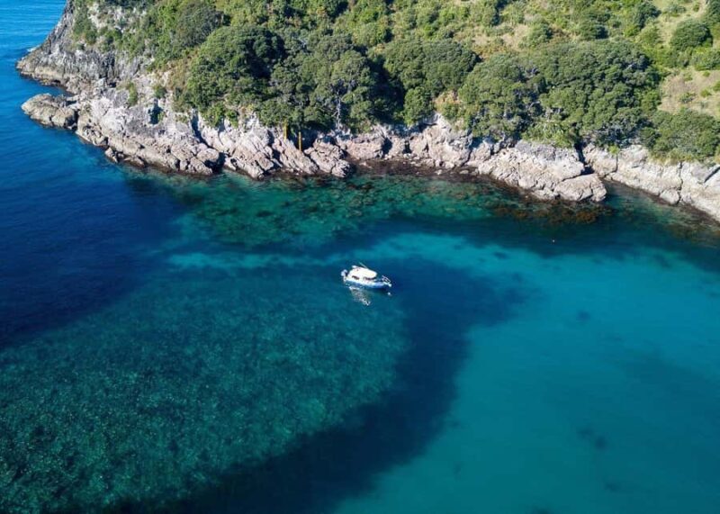 Whitianga: 2-Hour Glass Bottom Boat Cathedral Cove Tour - Final Thoughts