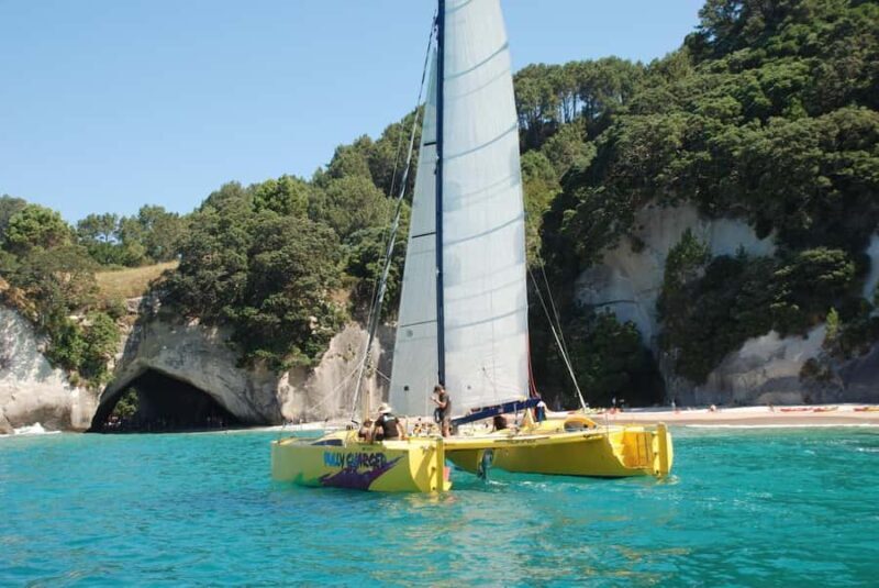 Whitianga: Sailing Trip to Cathedral Cove - FAQs