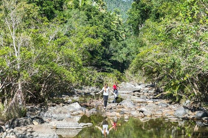 Whitsunday Segway Rainforest Discovery Tour - Final Word