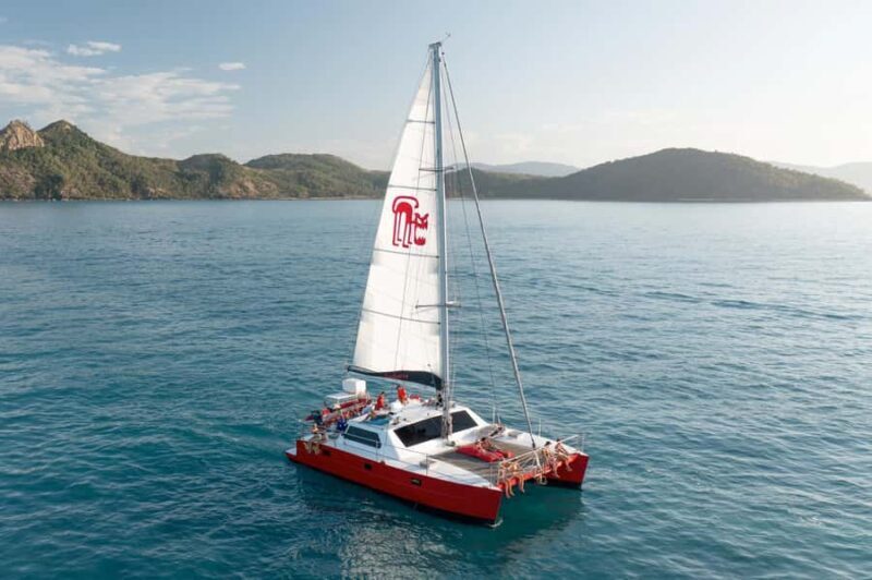 Whitsundays Sailing & Snorkelling Day Tour All Inclusive - A Deep Dive into the Whitsundays Sailing & Snorkelling Tour