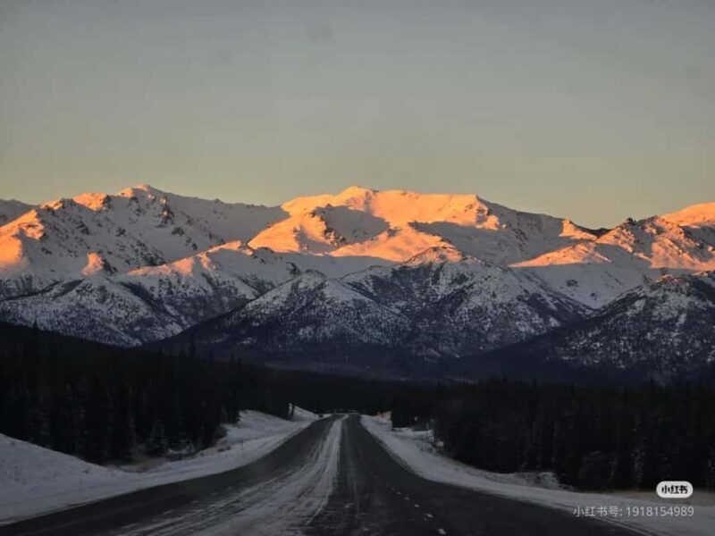 Whittier Cruise Shuttle Tour with Multiple Stops - Key Points