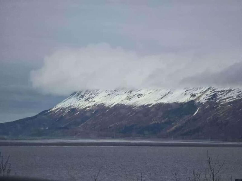 Whittier Cruise Shuttle Tour with Multiple Stops - The Bottom Line