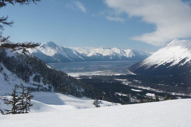 Whittier to Anchorage Cruise Transfer and Private Tour - Exploring the Whittier to Anchorage Cruise Transfer and Private Tour: A Complete Guide