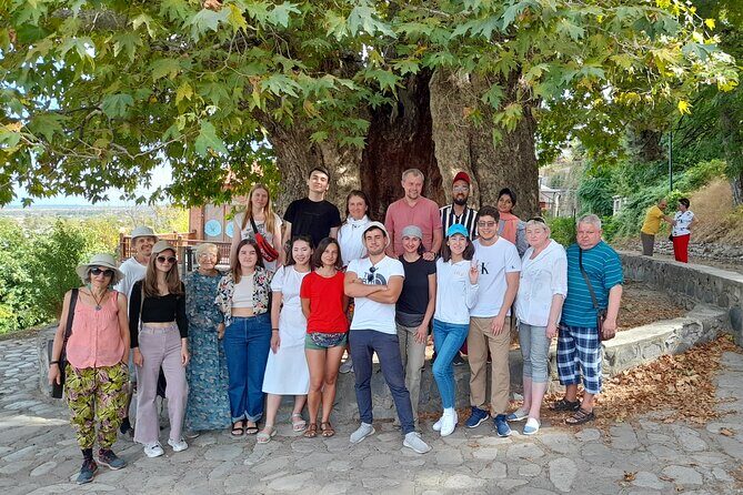 Whole day Wine Tour to Kakheti from Tbilisi - Who Is This Tour Perfect For?