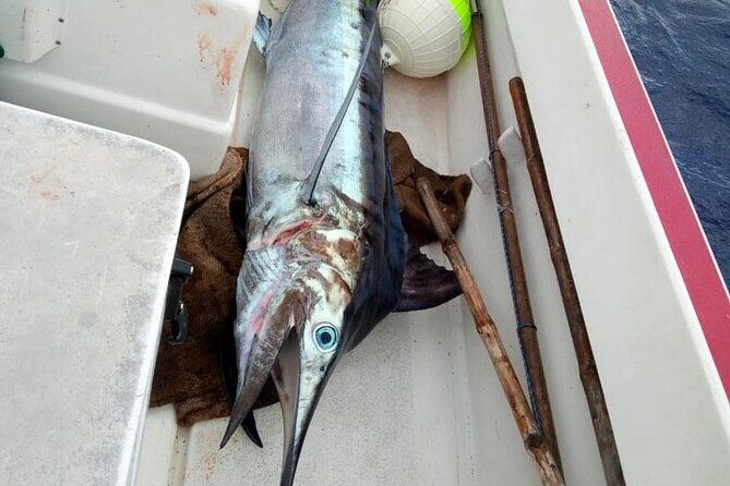 Wholesale Fishing in Poti Marara at Tahiti Teahupoo Peninsula - Who Will Love This?