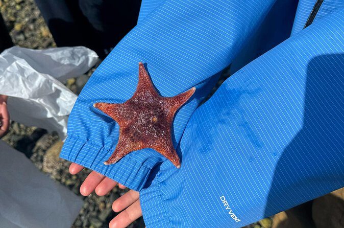 Whytecliff Park Indigenous Salish Sea Walking Tour - Practical Tips for Travelers