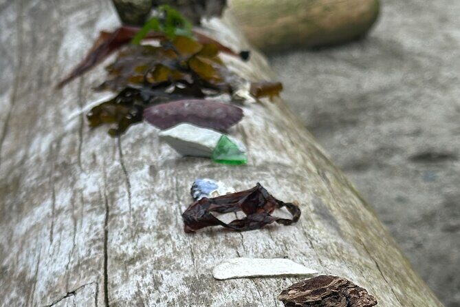 Whytecliff Park Indigenous Salish Sea Walking Tour - FAQs