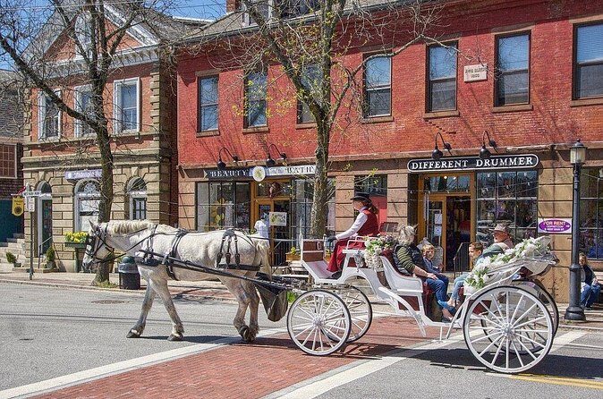 Wickford Horse Drawn Carriage Ride - What Do Travelers Say?