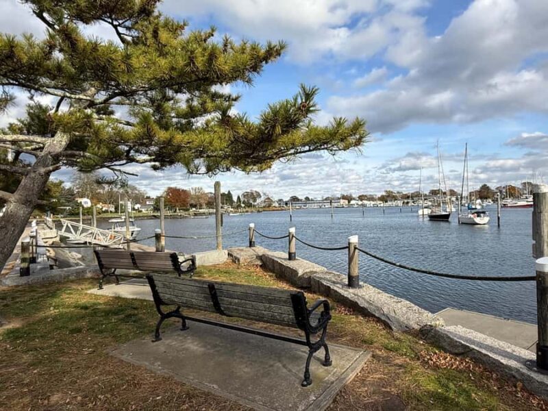 Wickford, RI: Narragansett Bay Seal-Watching Tour by Boat - Who Should Consider This Tour?