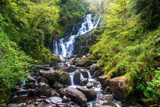 Wicklow Mountains & Glendalough Luxury Private Day Tour - The Sum Up