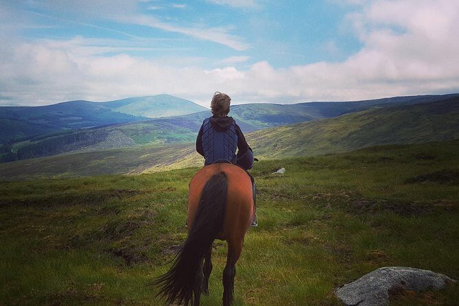 Wicklow Mountains Horse Trekking - An Experience Rooted in Authentic Irish Scenery