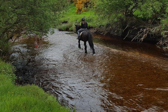 Wicklow Mountains Horse Trekking - The Group Dynamic and Personal Touch