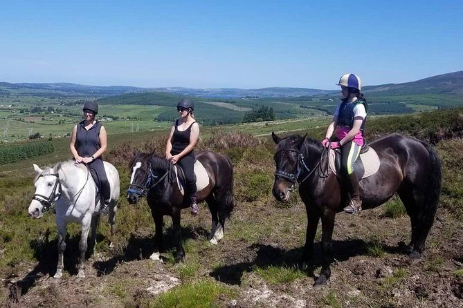 Wicklow Mountains Horse Trekking - Who Will Love This Tour?