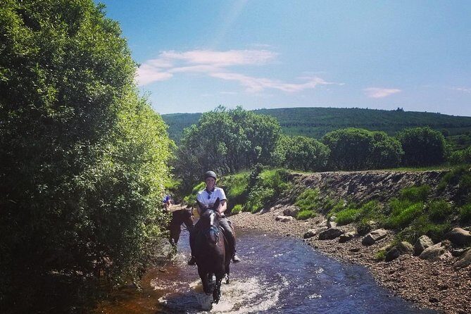 Wicklow Mountains Horse Trekking - The Sum Up