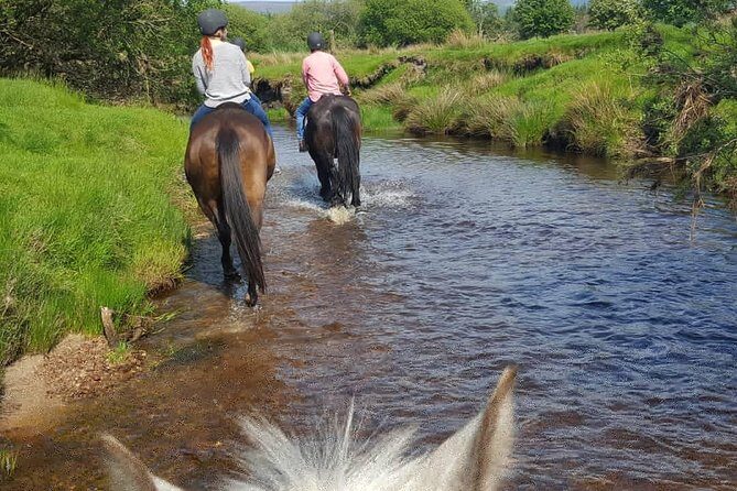 Wicklow Mountains Horse Trekking - FAQ
