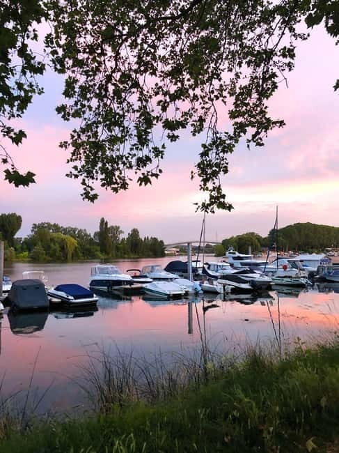 Wiesbaden: Schierstein Weekly Market & Harbor Tour - A Closer Look at the Wiesbaden: Schierstein Market & Harbor Tour