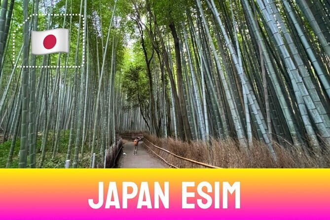 WiFiBOX | Haneda Airport | Japan Wi-Fi | Unlimited Data - Real Traveler Insights & Practical Tips