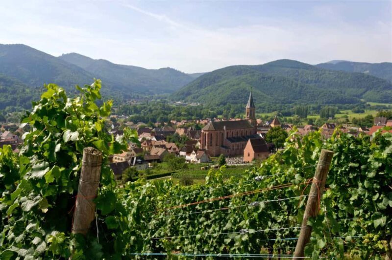 Wihr-au-Val: Wine Tasting in Alsace - The Wines and the Setting