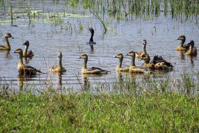 Wild Adventures Safari from Wilpattu - Final Thoughts: Is This Safari for You?