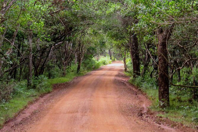 Wild Adventures Safari from Wilpattu - Frequently Asked Questions