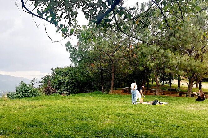 Wild Agaves Hiking Experience in Oaxaca - Exploring the Itinerary in Detail