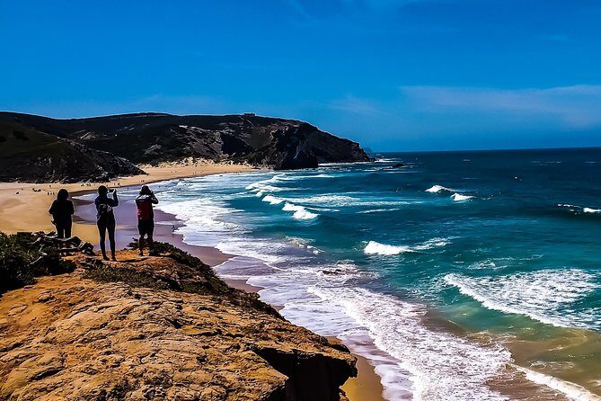 Wild and Wonderful West Coast Full Day Tour - The Value and Experience