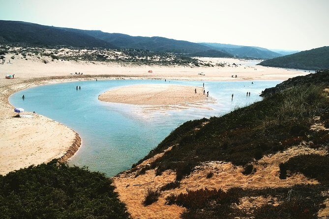 Wild and Wonderful West Coast Full Day Tour - The Sum Up: Is This Tour Worth It?