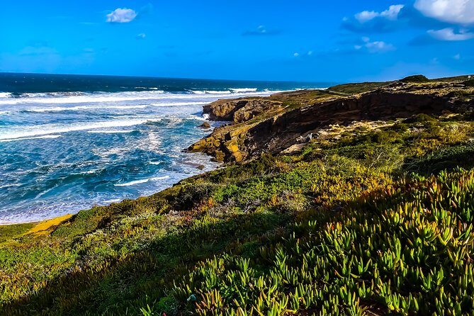 Wild and Wonderful West Coast Full Day Tour - FAQs