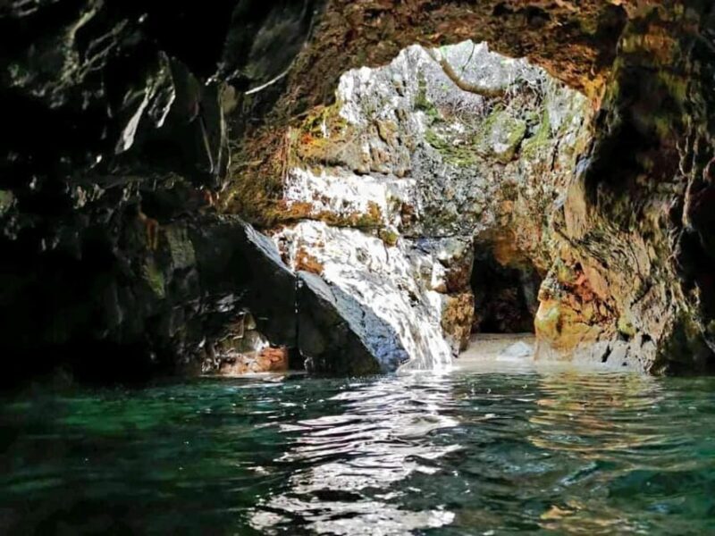 Wild Bays and Plavnik Island: A whole day private boat tour - Who is This Tour Best For?