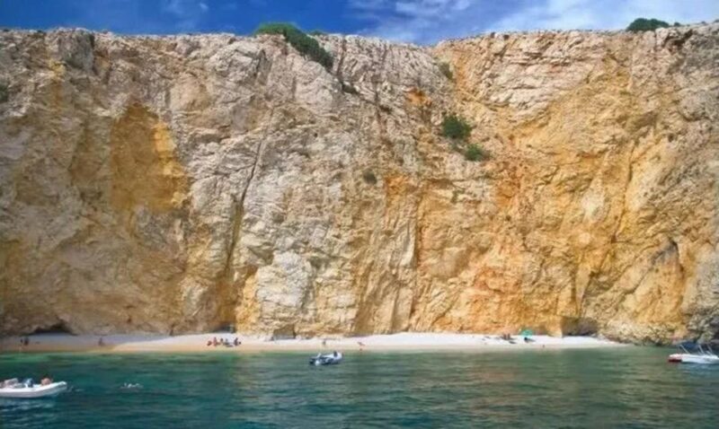 Wild Bays: Swimming and Snorkeling with Capt. Bobo (Private) - Practical Details and Value