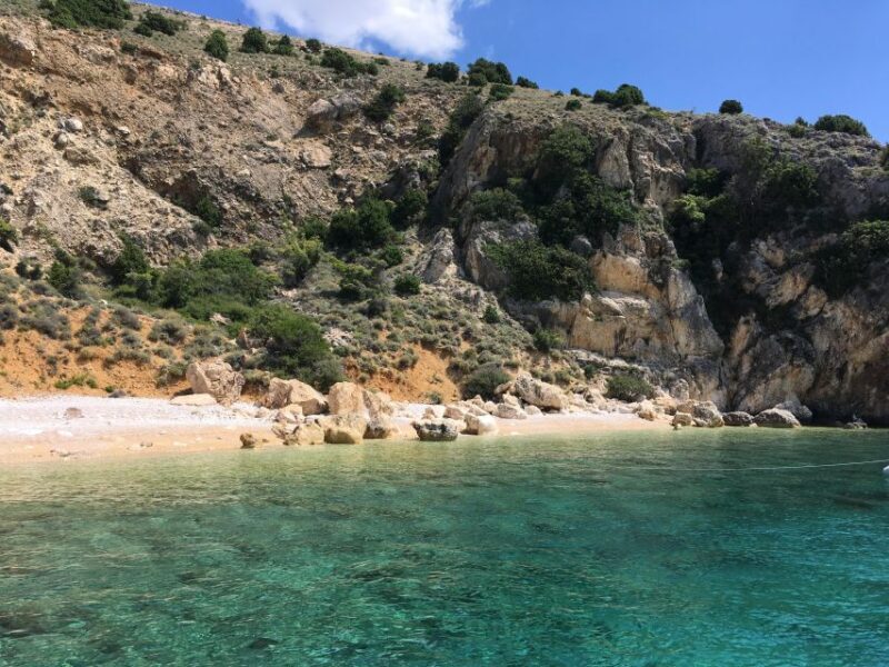 Wild Bays: Swimming and Snorkeling with Capt. Bobo (Private) - The Sum Up