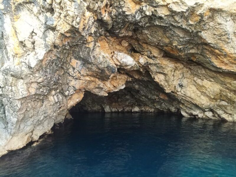 Wild Bays: Swimming and Snorkeling with Capt. Bobo (Private) - FAQ