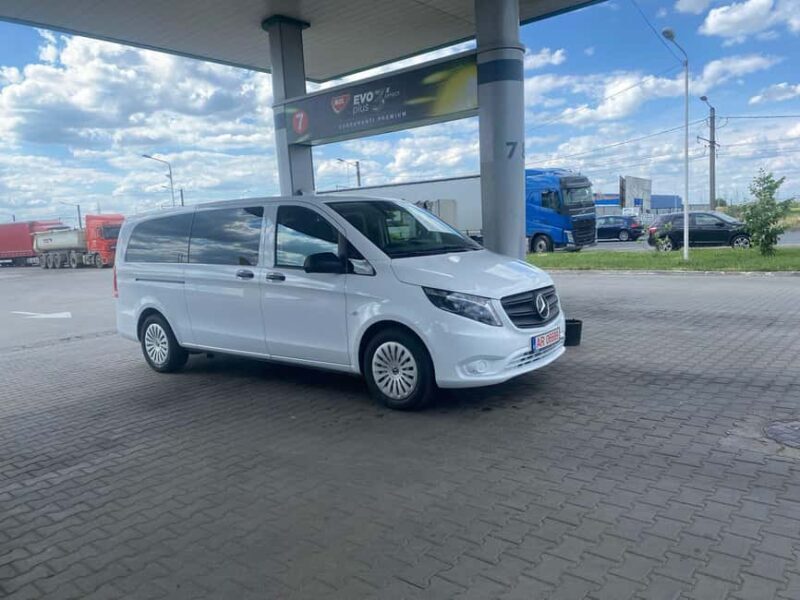 Wild Bears On Transfagarasan - Small Group max 8 pax - An In-Depth Look at the Tour Experience