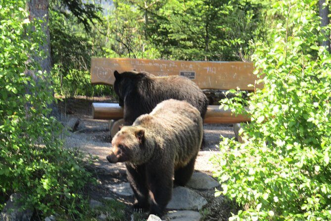Wild Current Canoe Adventure Join a small group - Final Thoughts: Who Will Love This Tour?