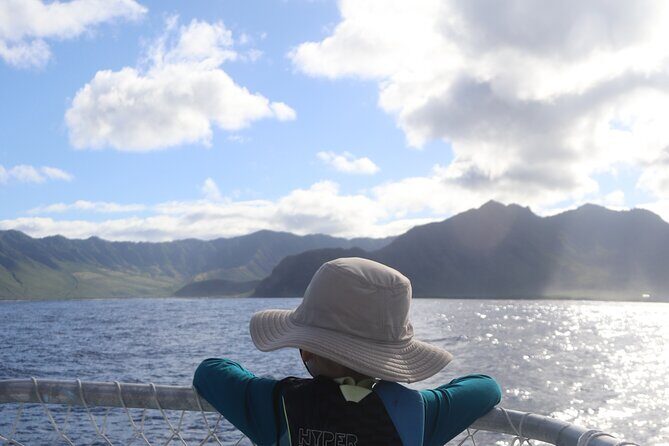 Wild Dolphin Swim, Turtle, Whale Safari with Guided Snorkeling - Final Thoughts: Who Is This Tour Best For?