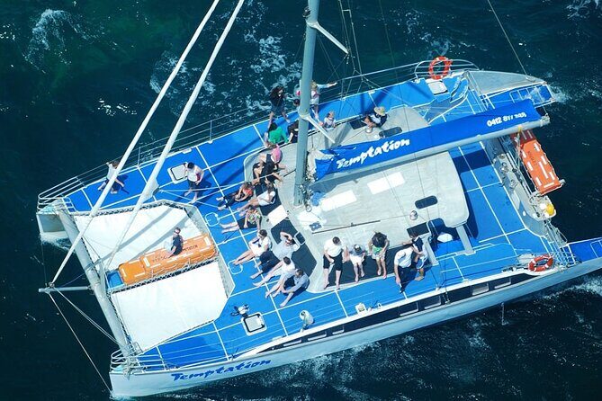 Wild Dolphin Watch in Glenelg - Group Size and Atmosphere