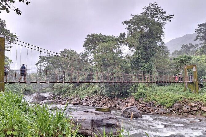 Wild Elephant Anakulam & Waterfalls Tour(munnar valley Trekking) - Key Points