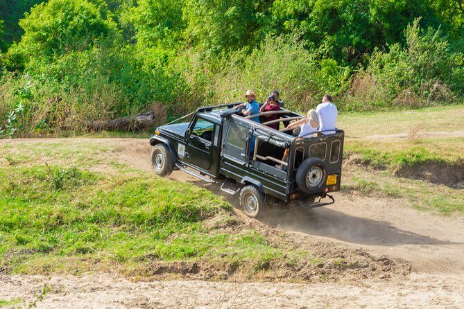Wild Elephant Safari in Minneriya National Park - What Makes this Safari Stand Out?