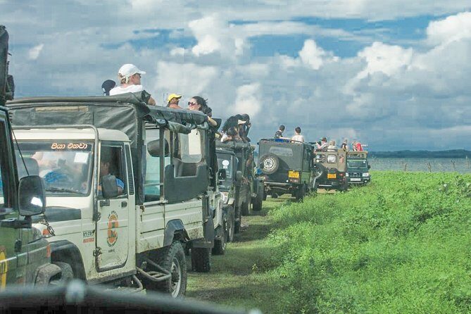 Wild Elephant Safari in Minneriya National Park - Who Should Consider This Tour?