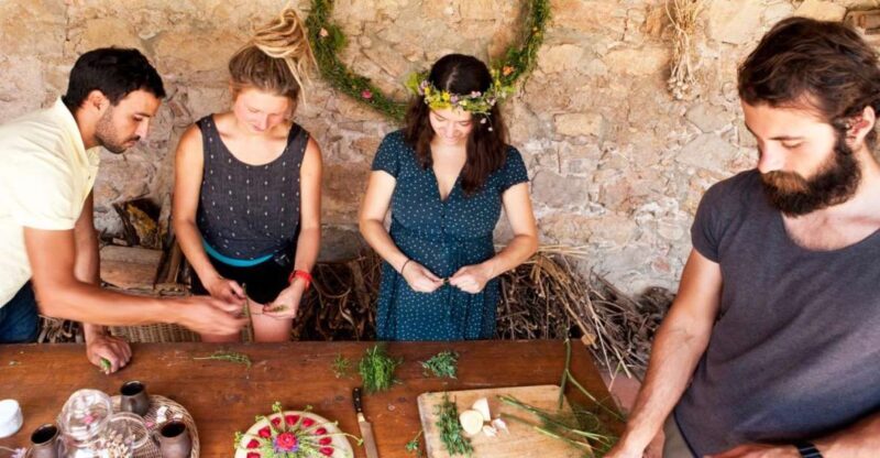 Wild experience: discover, cook & eat the local wild flora - FAQ