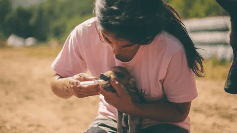 Wild Forest Reserve Foundation - Visit - FAQs