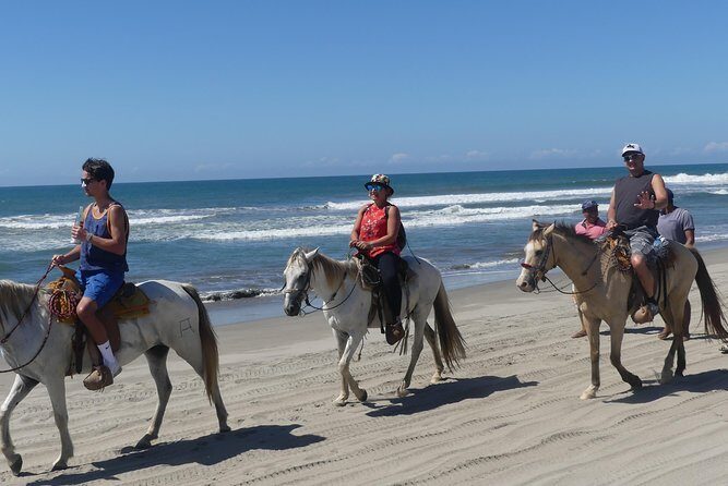 Wild & Free: Lagoon Boat, Beach Horseback, Crocs & Turtle Release - FAQ