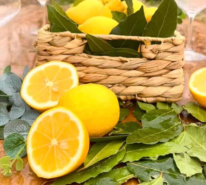 Wild Fruit Picking Experience at Hani i Qerosit - Key Points