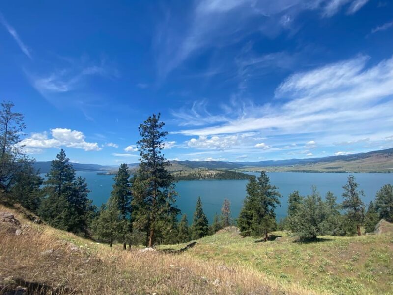 Wild Horse Island/Flathead Lake: Kayak Tour - The Value of the Tour