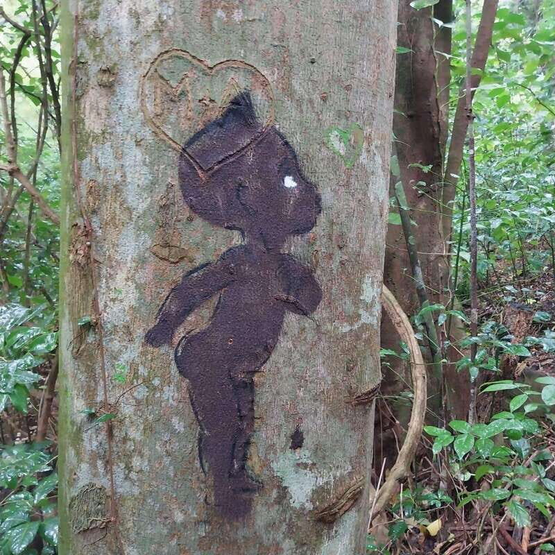 Wild Immersion : Hiking in the Heart of the Tropical Forest - Wild Immersion: Hiking in the Heart of the Tropical Forest — A Detailed Review